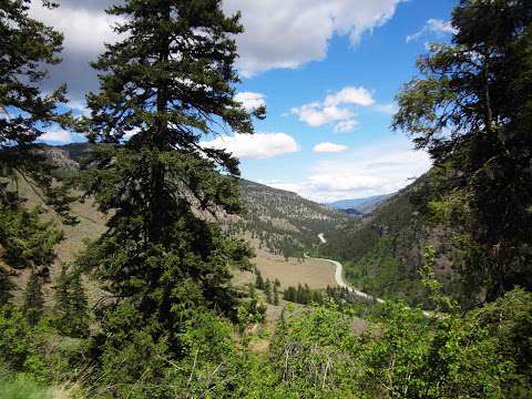 Foggy Mountain Ranch Trail Rides